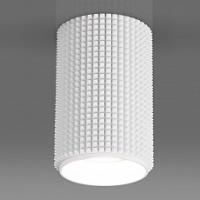 Накладной светильник Elektrostandard DLN112 a048144