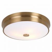 Накладной светильник Favourite Pannikin 2375-3C фото Накладной светильник Favourite Pannikin 2375-3C