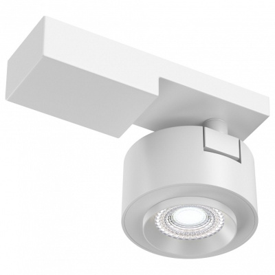 Светильник на штанге Maytoni Treo C062CL-L12W4K. Фото №2