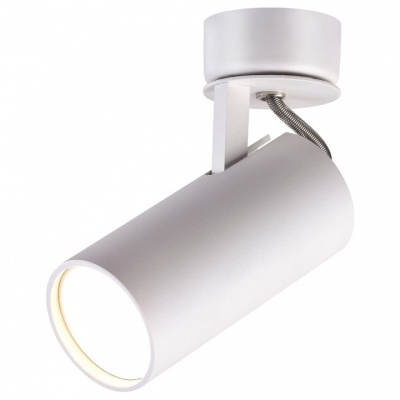 Спот Odeon Light Kiko 3873/1C. Фото