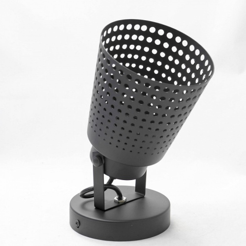 Спот Lussole Erie LSP-9834. Фото №2