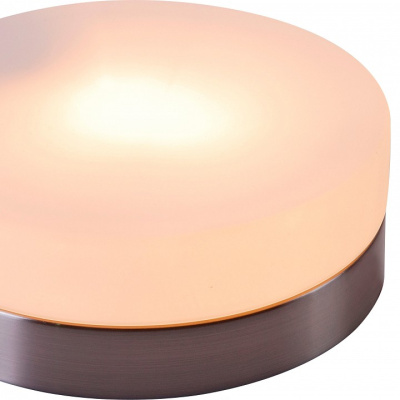 Накладной светильник Globo Opal 48401. Фото №2