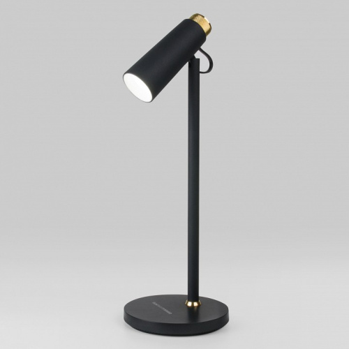 Настольная лампа офисная Elektrostandard Joel a048900. Фото №1