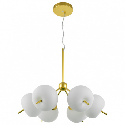 Подвесная люстра Favourite Bacca 2643-6P. Фото