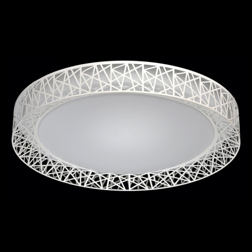 Накладной светильник MW-Light Ривз 2 674012201. Фото №2