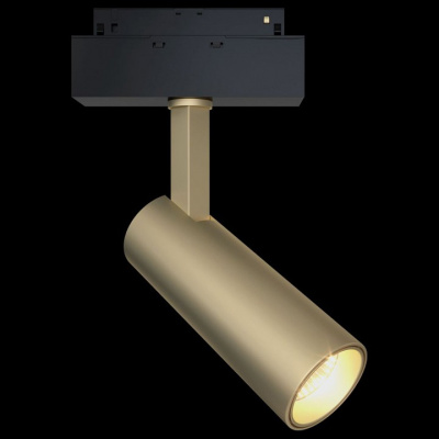 Светильник на штанге Maytoni Focus LED TR019-2-10W3K-MG. Фото