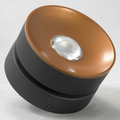 Спот Lussole Juneau LSP-8017. Фото №2